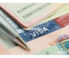 Available Freelance Visa to work in any company