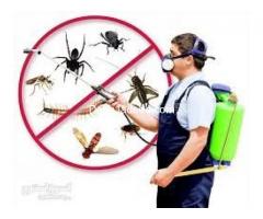 ALL IN ONE PEST CONTROL SERVICES