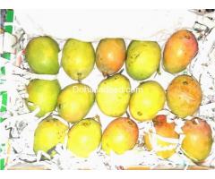Juicy Sweet Mangoes
