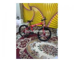 Brand new bicycle 26 size