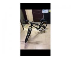 Giant cycle  for sale,