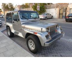 Jeep Wrangler Renegade 1993 model