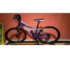 Giant Cycle for sale size:24