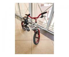 14” Philips Bicycle (Red/White)