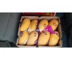 chounsa Mango 5kg box bay air