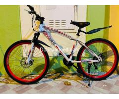 Mountain bicycle for sale