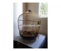 3 seater sofa and cage with love birds for sale
