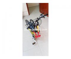 Folding type bicycle for sale
