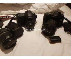 CANON 70D and 60D