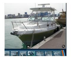 Yacht   Robalo Type :  R 305 Year :  2007