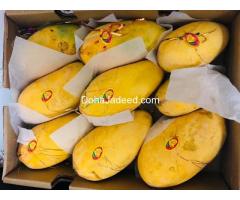 Pakistani mangoes (sindhri) available